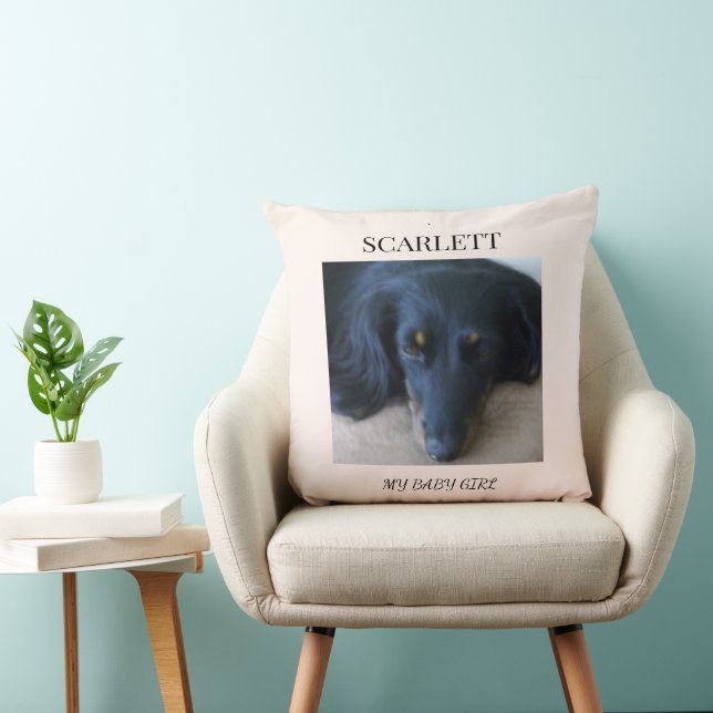 Almohada tributo de Compañero Diario (Silla)