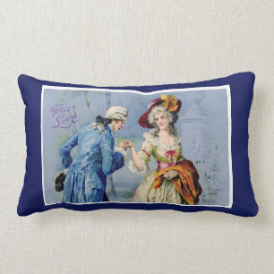 Almohada verdadera francesa antigua del amor