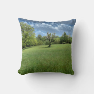 Almohada verde appalache