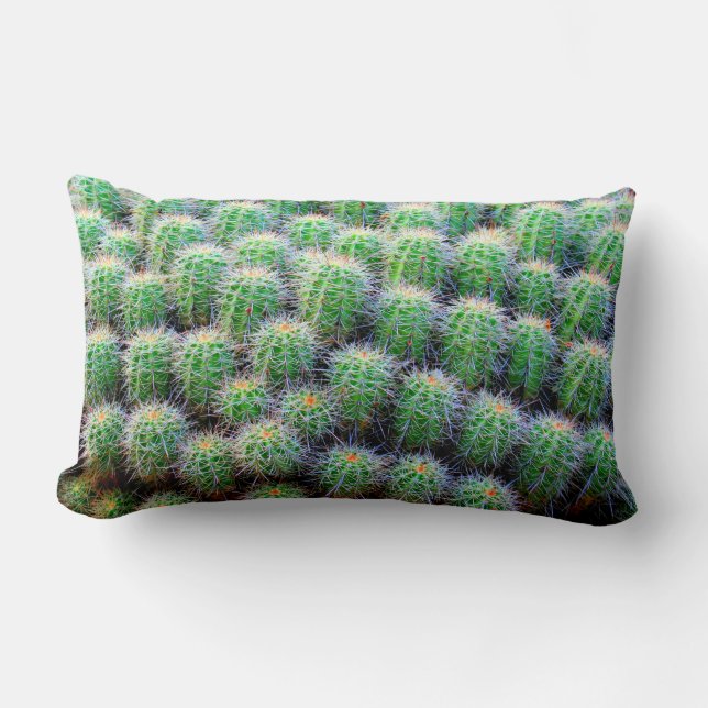 almohada verde de cactus de barril (Anverso)