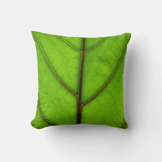 Almohada verde de la hoja (Anverso)