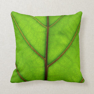 Almohada verde de la hoja