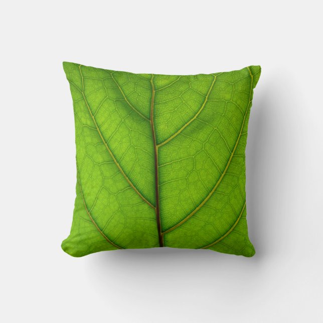 Almohada verde de la hoja (Anverso)
