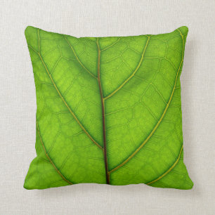 Almohada verde de la hoja