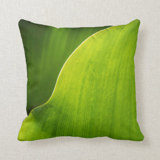 almohada verde de la hoja