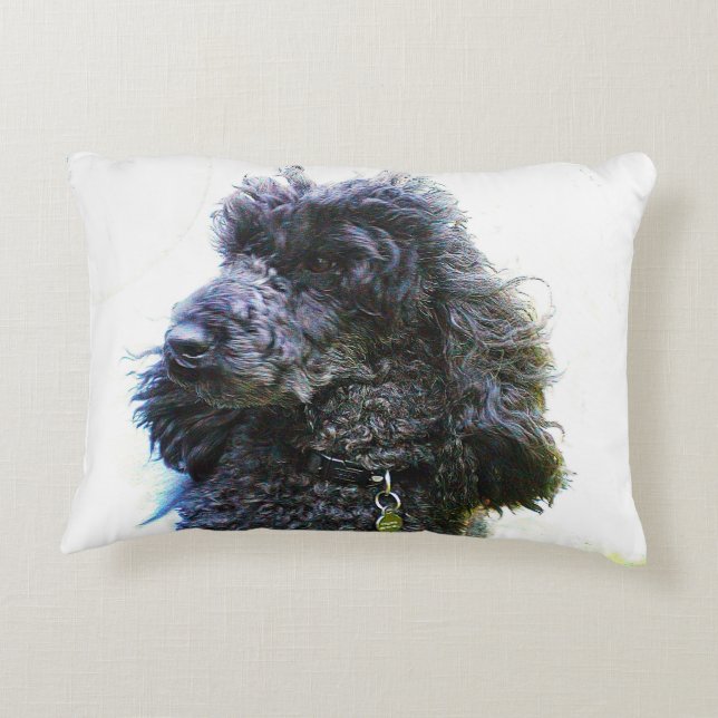 Almohada vieja barata del caniche (Reverso)