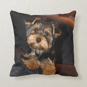 almohada Yorkshire Terrier