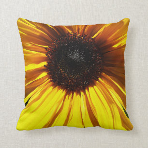 Almohadas amarillas del primer del girasol