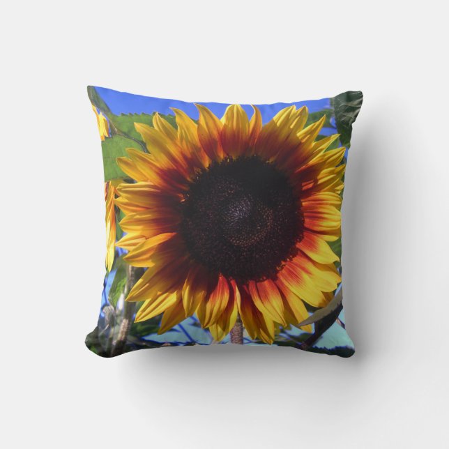 Almohadas brillantes del girasol (Anverso)