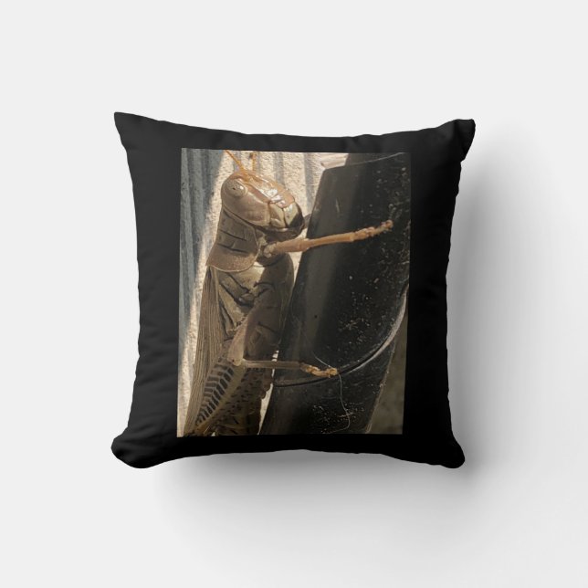 almohadas de Grasshopper (Anverso)