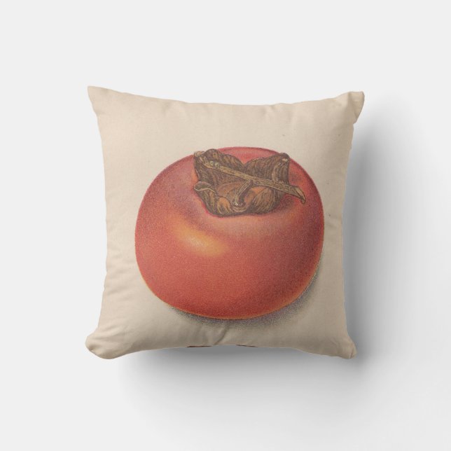 Almohadas de Jo del americano de los caquis del (Anverso)