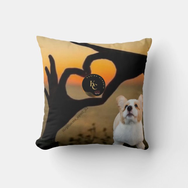 Almohadas de la decoración de la casa de Pillow (Anverso)