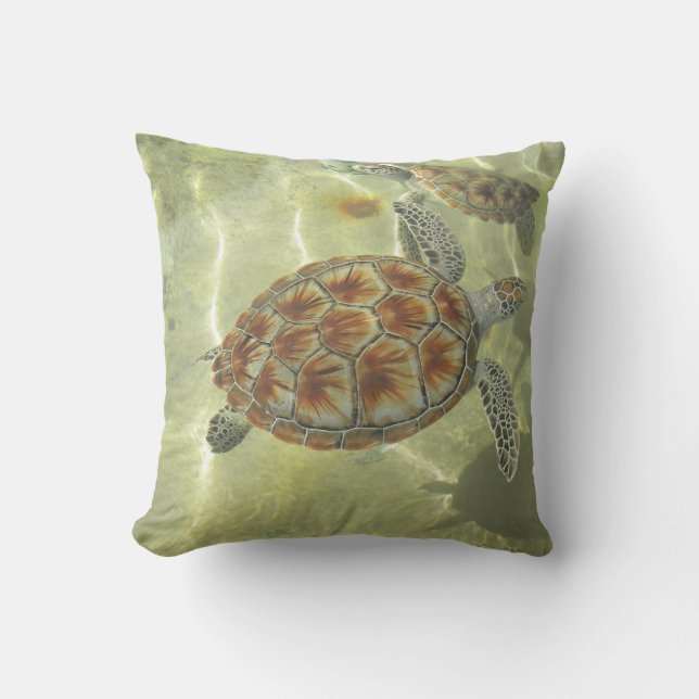 Almohadas de la tortuga (Anverso)