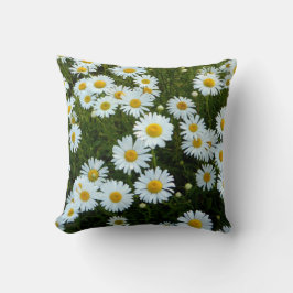 Almohadas de margarita salvaje