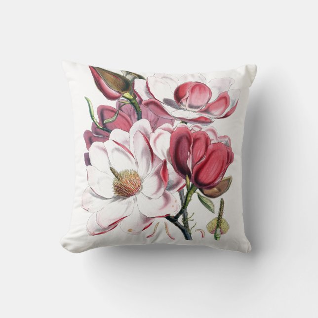 Almohadas de MoJo del americano de la magnolia (Anverso)