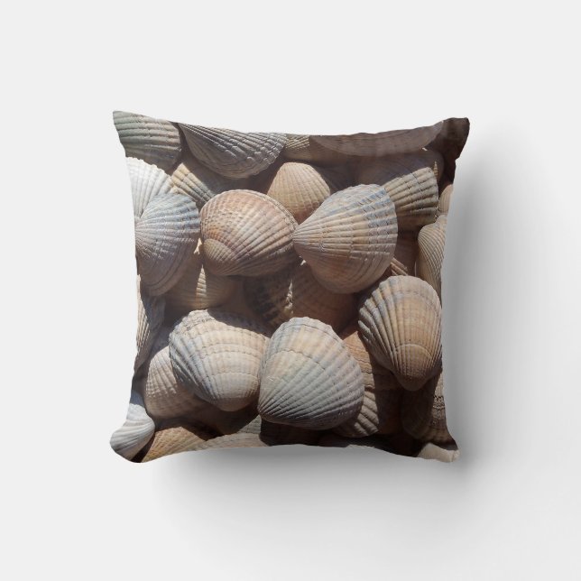Almohadas de playa de verano de Blue Brown (Anverso)
