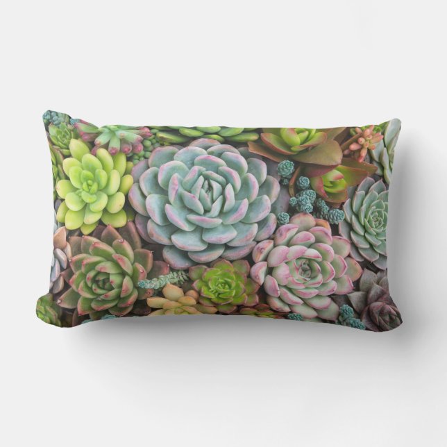 Almohadas de tiro de los Succulents del cactus (Anverso)