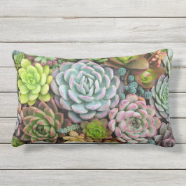 Almohadas de tiro de los Succulents del cactus