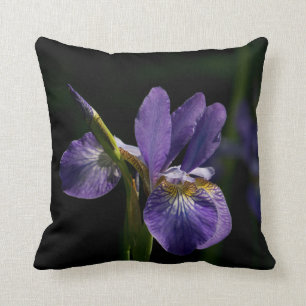 Almohadas de tiro decorativas