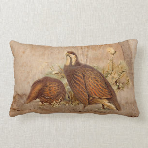 Almohadas de Turkie