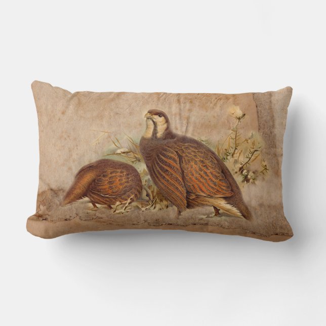 Almohadas de Turkie (Anverso)