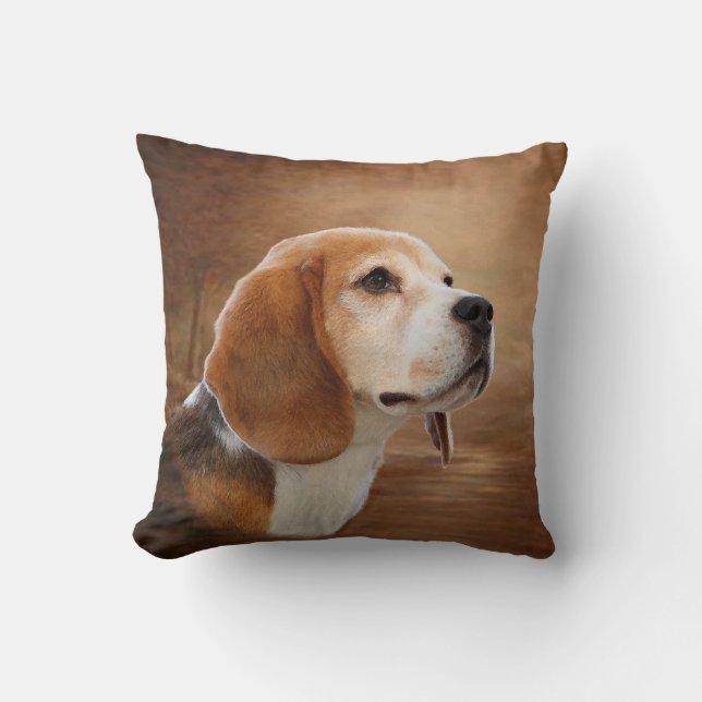 Almohadas del BEAGLE (Anverso)