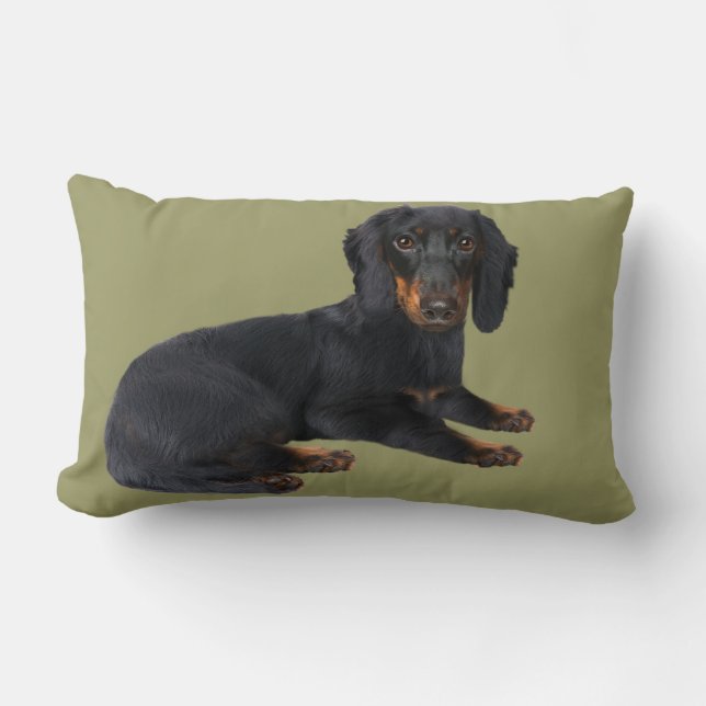 Almohadas del Dachshund (Anverso)