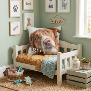 Almohadas para tirar mascotas mejores amigas