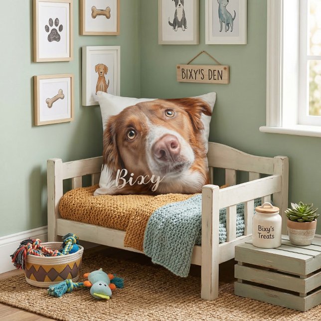 Almohadas para tirar mascotas mejores amigas (Subido por el creador)