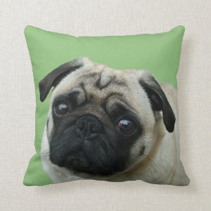 Almohadas Pug American MoJo