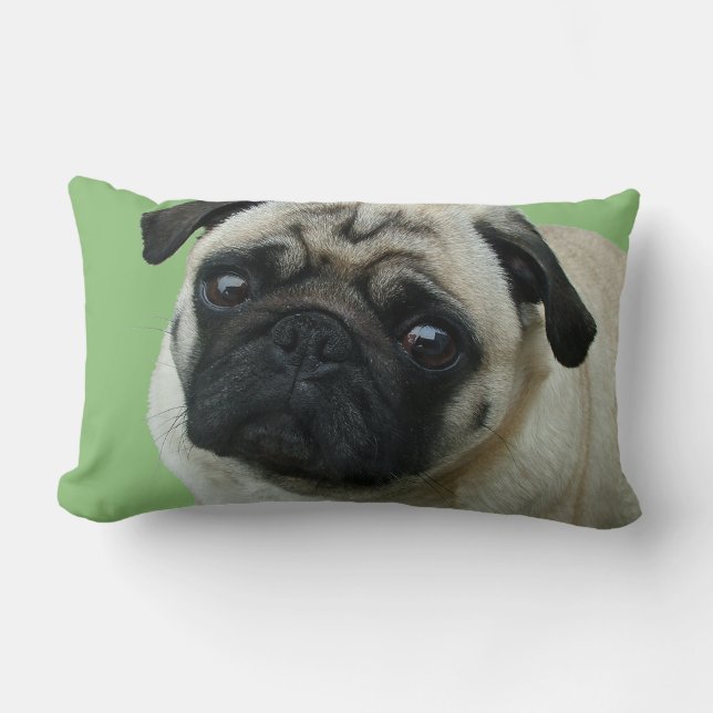 Almohadas Pug American MoJo Lumbar (Anverso)