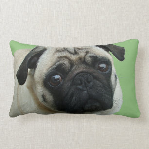 Almohadas Pug American MoJo Lumbar
