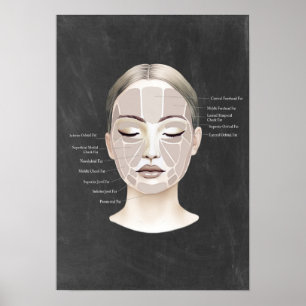 Almohadilla facial Anatomía Belleza Decoración Spa