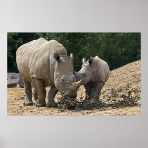 Almuerzo con impresión de Mamá