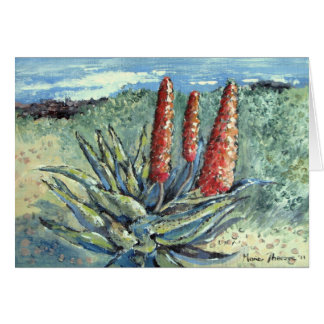 Áloe de la montaña