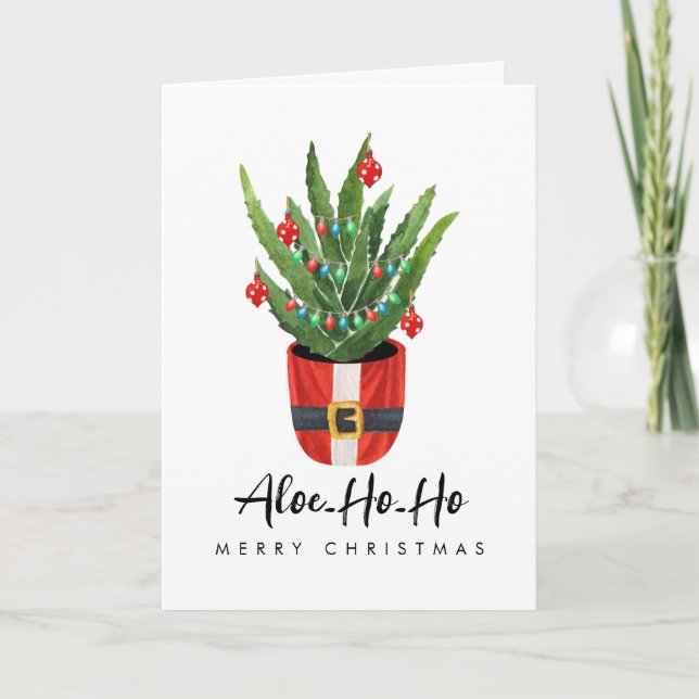 Aloe Ho Ho Navidad Santa Planta de Interior Fiesta (Anverso)