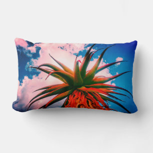 Aloe Planta Suculenta Cielo Nubes Almohada