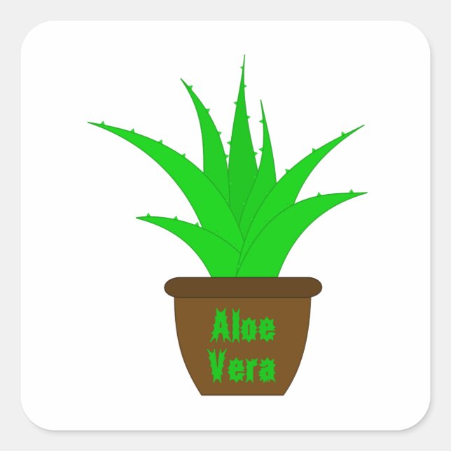Aloe Vera con una etiqueta (Anverso)