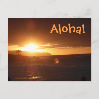 Aloha de la postal de Hawaii