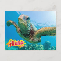 Aloha de la postal de la tortuga verde de Hawaii H