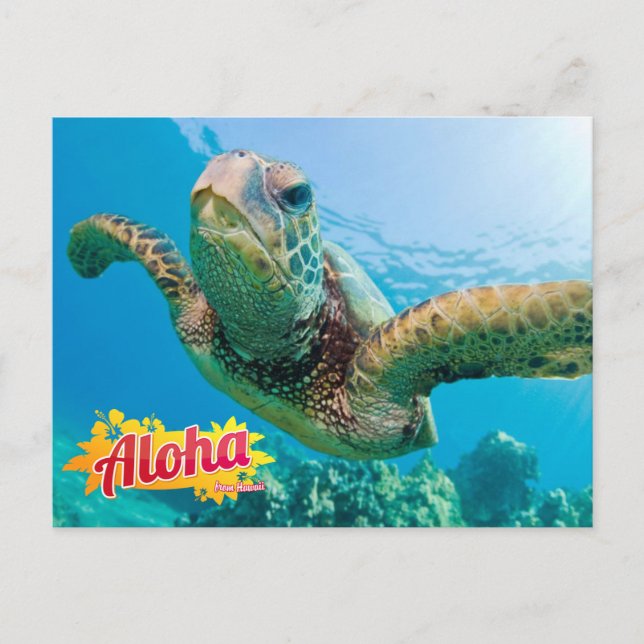 Aloha de la postal de la tortuga verde de Hawaii H (Anverso)