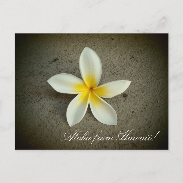 Aloha de plumeria de flores de Hawaii postal simpl (Anverso)