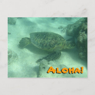 Aloha de tortuga marina desde la postal de Hawái