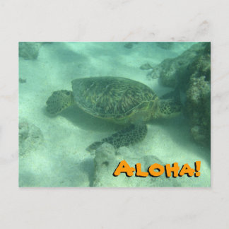 Aloha de tortuga marina desde la postal de Hawái