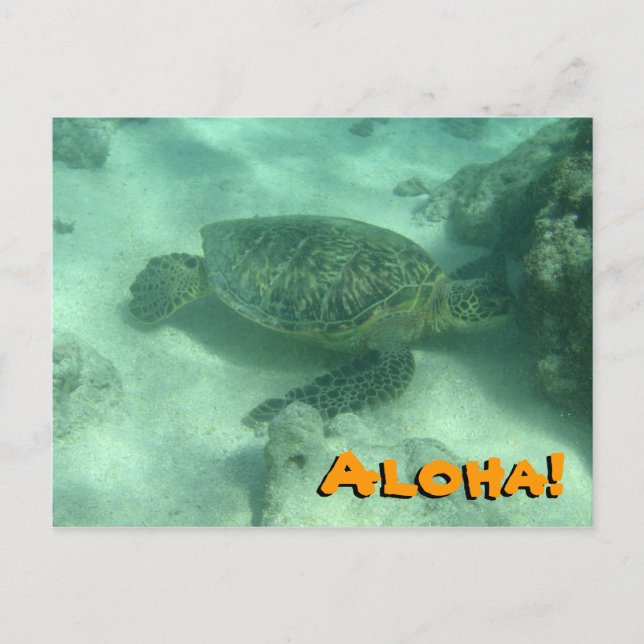 Aloha de tortuga marina desde la postal de Hawái (Anverso)
