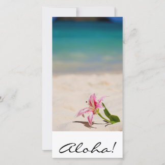¡Aloha! Hawaii