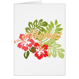 Aloha Hibiscus