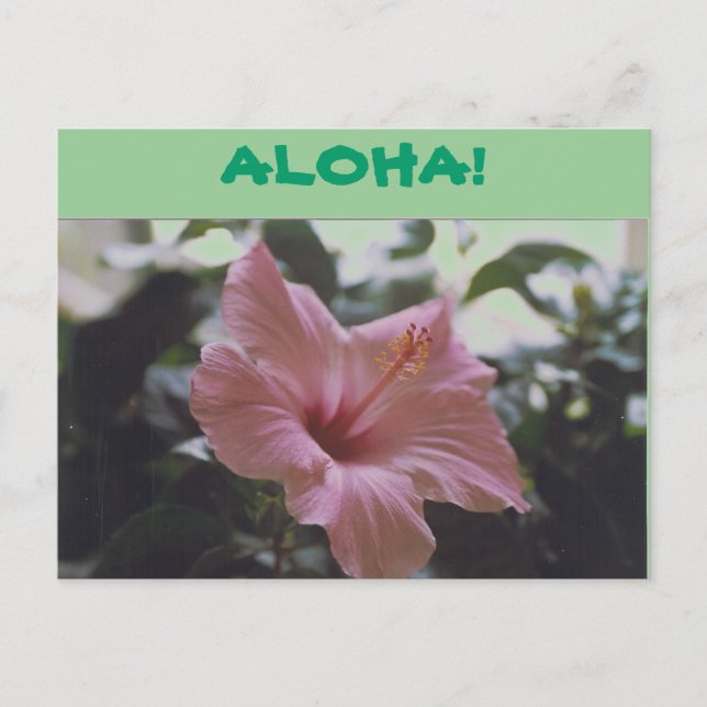 ¡ALOHA! -Tarjeta Postal (Anverso)