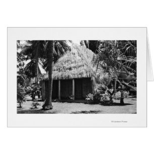 Alojamiento de hierbas en la playa - Isla Hawaii