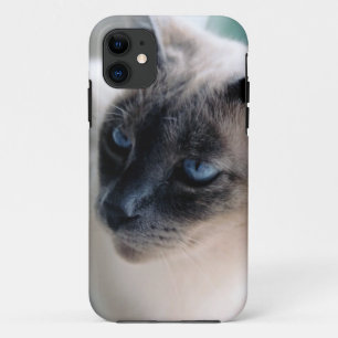 Aloof Siamese Cat Funda-Mate iPhone 5 Funda
